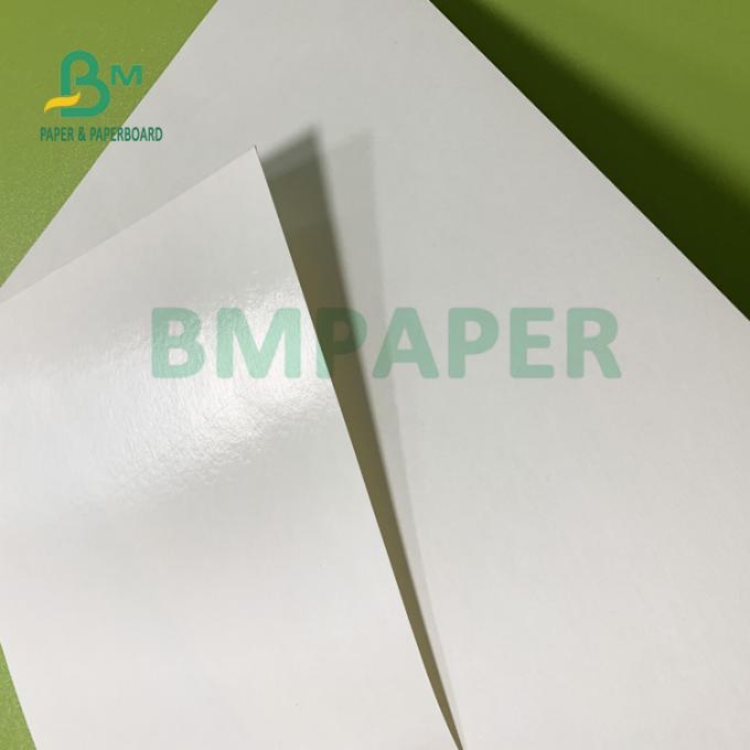 150gsm + 10gsm 식품 안전한 PE는 식수를 위한 컵 베이스 종이를 코팅했습니다