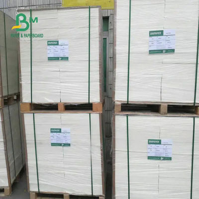 열차단 컵 스톡 판지 방수 1200 밀리미터 190gsm 210gsm 240gsm