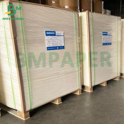 260grs GC1판 70 X 100cm 장면 한 면에 코팅 된 흰색 접착판