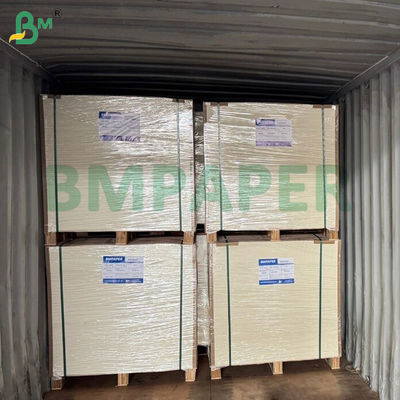 210gsm 220gsm 키트 6 식품 용기용 기름 방지 보드 24 x 36인치 방수