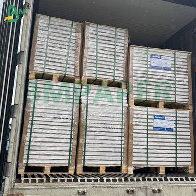 300g 350g 900mm 1000mm 냉동 식품 상자용 인쇄 가능 내한성 접는 종이