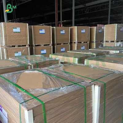 260GSM+ 18GSM FDA 분해 가능 대나무 크라프트 종이 (PE / PLA 코팅 컵 스톡 종이)