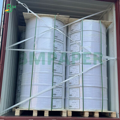 20파운드 사무실 탄소 없는 서류 청구서 서류 검은색 이미지