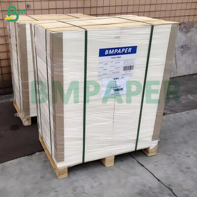 100파운드 270gm 흰색 무장 부드러운 브리스톨 보드 22 "x 30"