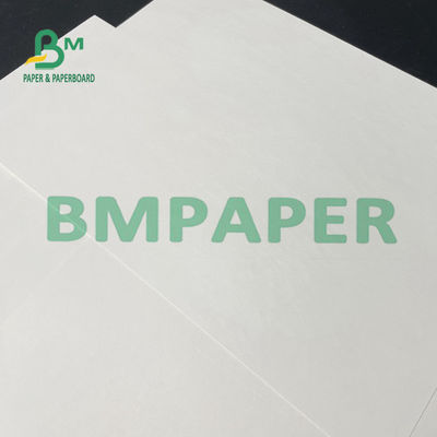 원추형 컵 동안 100gsm 120gsm 컵 스톡 페이퍼 롤 하얀 채색