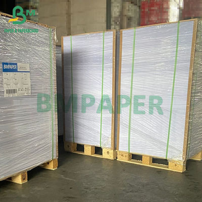 1000 밀리미터 넓인 230gsm 250gsm 300gsm C1S 아트보드 명부 635 밀리미터 700 밀리미터 914 밀리미터