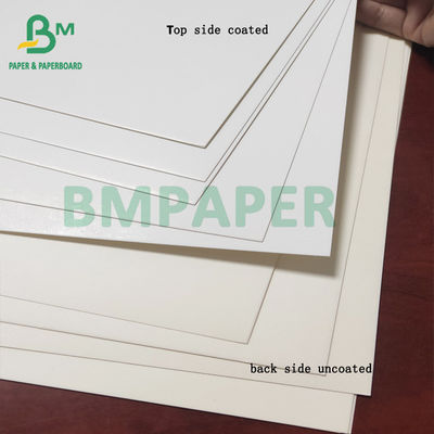 식품 등급 냉장고 페이퍼 롤, C1S 판지 350gsm 백색 코팅