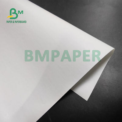 POS 프린터 565 밀리미터 Ｘ 6000m을 위한 55gsm 대형롤 감열지