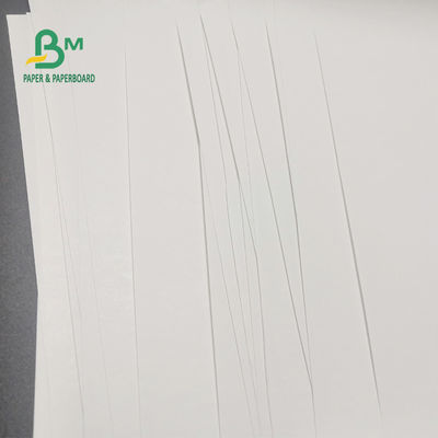 금전 등록기 뚜렷한 이미지 600 밀리미터 Ｘ 9000m을 위한 65gsm BPA 무료 감열지 묶음