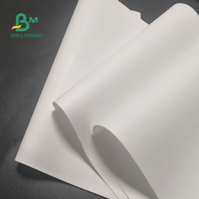 금전 등록기 뚜렷한 이미지 600 밀리미터 Ｘ 9000m을 위한 65gsm BPA 무료 감열지 묶음