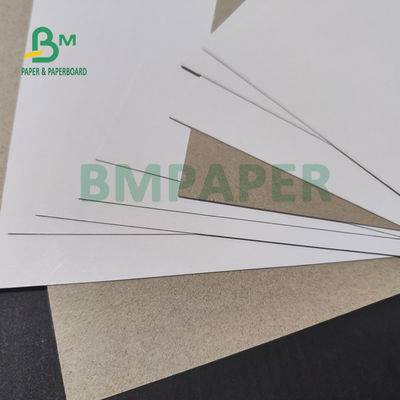 300gsm 350gsm은 치약 박스오피스 46 Ｘ 21 고강성을 위한 코팅된 용지대를 점토를 바릅니다