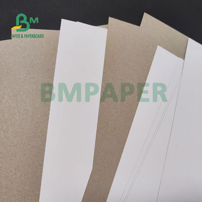 300gsm 350gsm은 치약 박스오피스 46 Ｘ 21 고강성을 위한 코팅된 용지대를 점토를 바릅니다