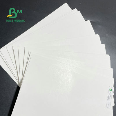 일 측은 패킹 식품을 위한 냉장고 페이퍼 롤 275gsm 325gsm을 코팅했습니다