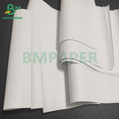 백색 코팅 감열지 대형롤, Pos 인수증 48gsm - 70gsm