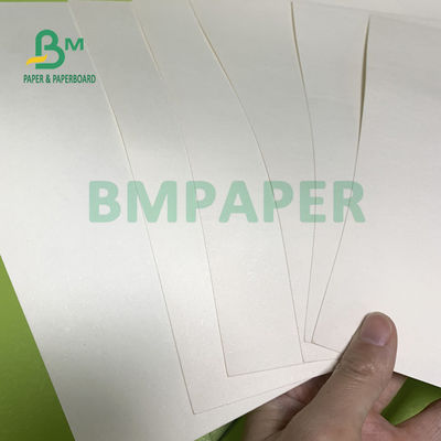 230gsm + 18gsm 컵 스톡 판지 금고 컵라면을 위한 어떤 냄새 전문도 공굴리기를 하지 않습니다
