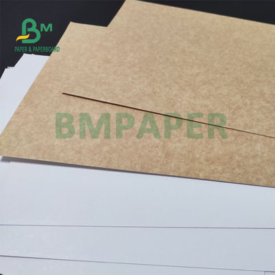 포장 빵 70 Ｘ 100 센티미터 동안 325gsm 획일적 하얀 코팅된 크라프트지 후방 용지