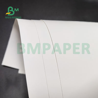 버진 펄프 냉장고 백서는 건강 관리 패키지를 위해 1 쪽 FBB 화이트 백에게 350gsm 36 Ｘ 48을 말아줍니다