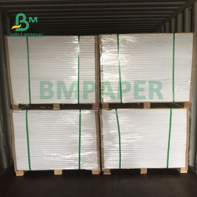 팜플렛 615 밀리미터 Ｘ 912 밀리미터 동안 200gsm 230gsm 옵세트 인쇄 용지