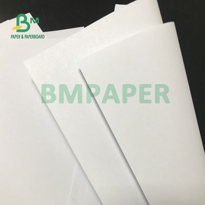 팜플렛 615 밀리미터 Ｘ 912 밀리미터 동안 200gsm 230gsm 옵세트 인쇄 용지
