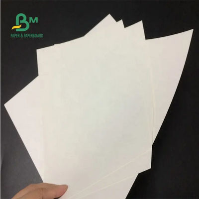 포장 봉지를 위한 처녀 하얀 크라프트지 페이퍼 롤 24 Ｘ 35 인치 150gsm 170gsm 190gsm