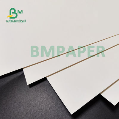 종이컵 식품 등급 882 밀리미터 동안 210gsm +15g PE 박판 마분지
