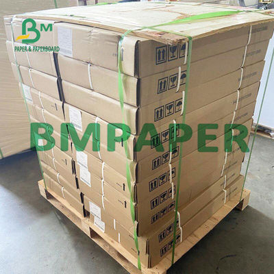 55 GSM 열 영수증 프린터 신문은 POS에 대해 BPA가 자유롭게 늘입니다