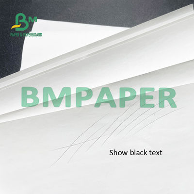 55 GSM 열 영수증 프린터 신문은 POS에 대해 BPA가 자유롭게 늘입니다