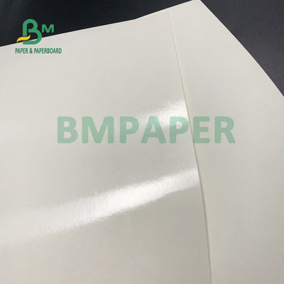 식품 등급 135gsm+10gsm PE는 컵 종이 광택과 마뜨 피니쉬를 코팅했습니다
