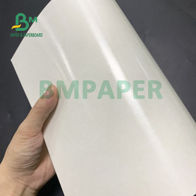 식품 등급 135gsm+10gsm PE는 컵 종이 광택과 마뜨 피니쉬를 코팅했습니다