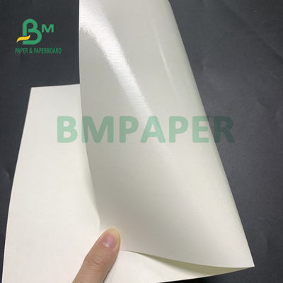 탕기를 위한 135gsm + 20gsm 폴리에틸렌 코팅된 컵 베이스 종이