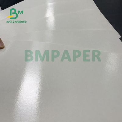 150gsm + 10gsm 식품 안전한 PE는 식수를 위한 컵 베이스 종이를 코팅했습니다