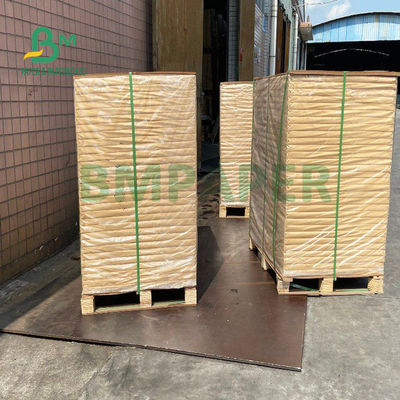 150gsm+20gsm 작전은 컵 스톡 페이퍼 오래가는 710 밀리미터 Ｘ 900 밀리미터를 코팅했습니다