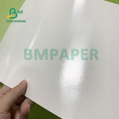 탕기 560 밀리미터 Ｘ 700 밀리미터 동안 230gsm+15gsm 내구성 PE 코팅된 컵 스톡 종이