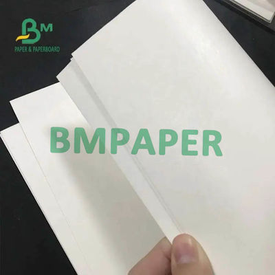 종이컵 동안 코팅된 하얀 컵 스톡 페이퍼 롤 200gsm + 15PE 일 측면
