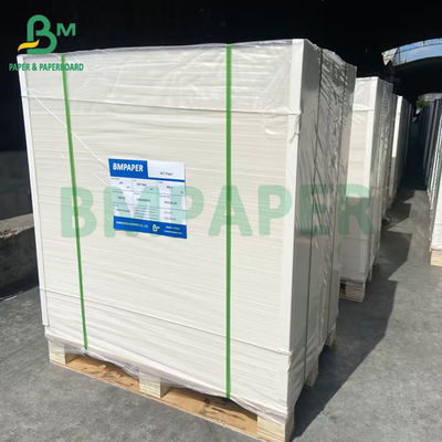 하얀 판지로 만드는 상아 보드 백서 250gsm C1S FBB 덮개 스톡 사회