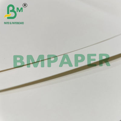 뜨거운 음식을 위한 180gsm + 15g PE 국수 그릇 컵 스톡 종이 보드