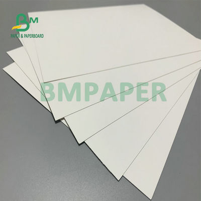 275gm + 15gm PE 폴리보드 1면 PE 코팅 프렌즈 냉동 백판 냉동 식품