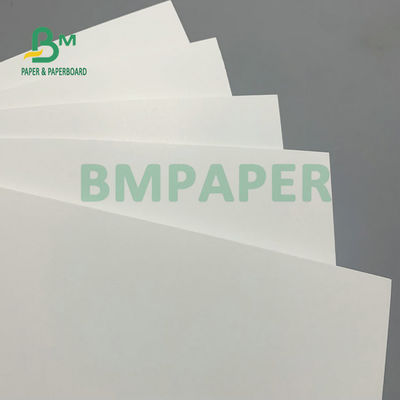 275gm + 15gm PE 폴리보드 1면 PE 코팅 프렌즈 냉동 백판 냉동 식품