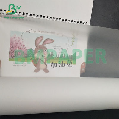 63g 흰색 가벼운 무게 투명 추적 종이 880mm × 50m 롤 포장