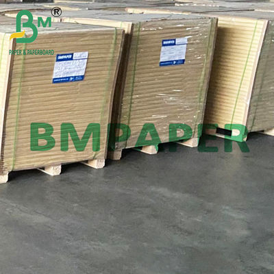 15&quot; x 1000&quot; 흰색 폴리보드 1면 PE 코팅 종이 냉동 식품 275g