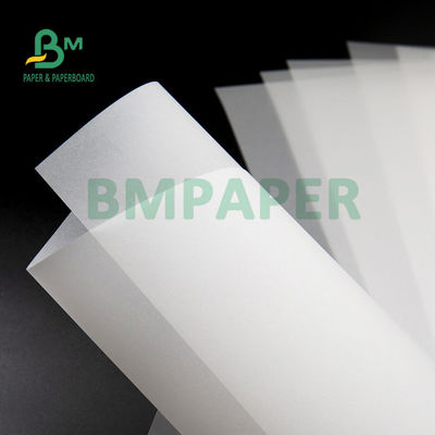 80gm 113gm 초투명한 흰색 스키치 페이퍼 610mm x 914mm