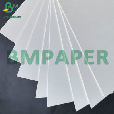 1mm 2mm 수 Super 흡수 컵 PE 코팅 블러깅 카드보드