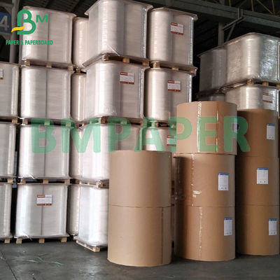 200gm 300gm CKB 백색 톱 코팅 크래프트 보드