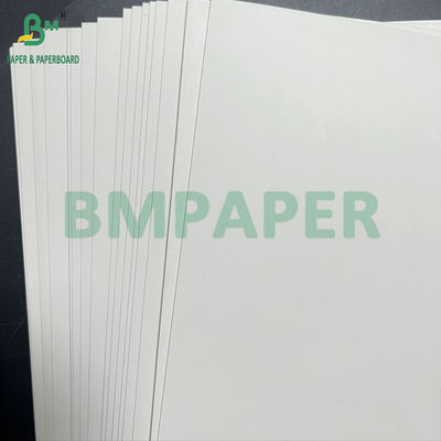 재활용 가능한 부드러운 350gm + 20g 한쪽 PE 코팅 된 흰색 음식판 900mm