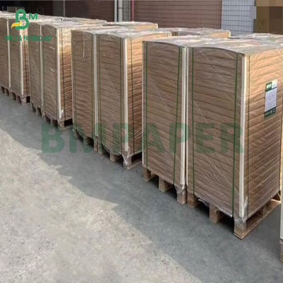 재활용 가능한 부드러운 350gm + 20g 한쪽 PE 코팅 된 흰색 음식판 900mm