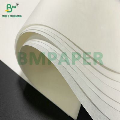 600mm 롤 너비 25gsm 30gsm 케이크 베이킹용 흰색 크래프트 종이