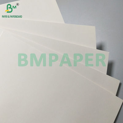 260gsm+18PE 매트 코팅 식품 기름 방지 종이 일회용 종이 컵 및 그릇 제조