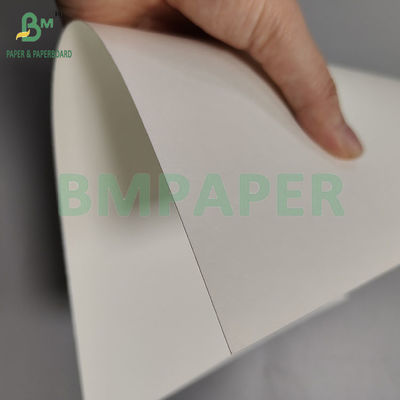 230gsm+18pe 일회용 P2S 매트 컵 종이