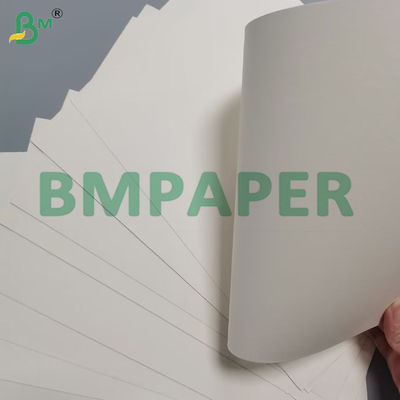 190g Bowl Paper 100 % virgin Wood Pulp Custom Coated For Paper Bowl [공간 접시에 맞게 코팅된 신차 나무 펄스]