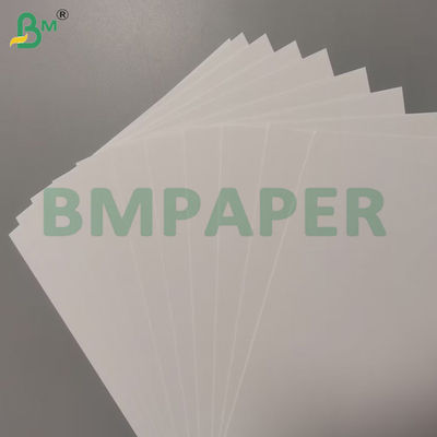높은 흰색 흡수성 블로터 종이 코팅되지 않은 1mm 2mm 700 * 1000mm